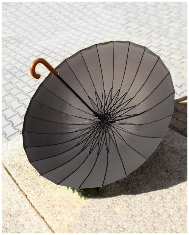 Зонт-трость семейный Pasio 135, 24 спицы, ручка крюк дерево Зонт-трость семейный Pasio 135, 24 спицы, ручка крюк дерево