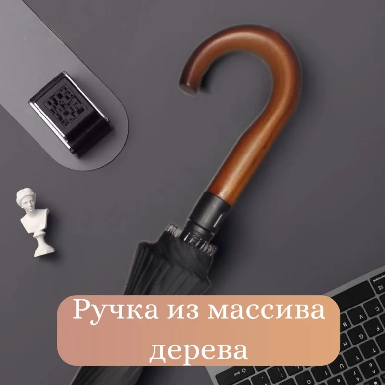 Зонт-трость семейный Pasio 135, 24 спицы, ручка крюк дерево Зонт-трость семейный Pasio 135, 24 спицы, ручка крюк дерево