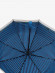 Зонт женский Raindrops RD0539-3 автомат