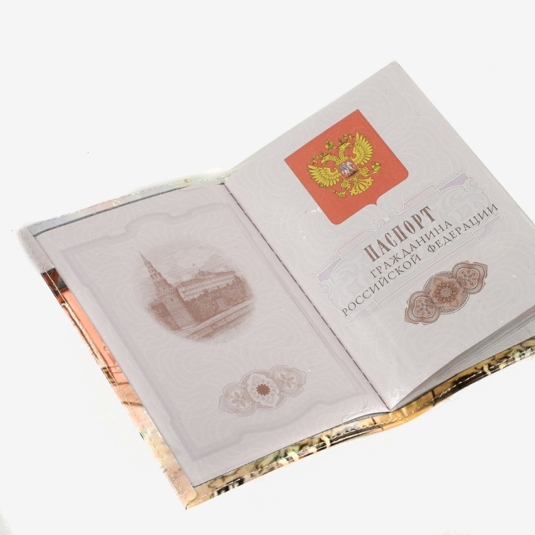 Обложка для паспорта 02-006-018-24 "Вид на Фонтанку в акварели"