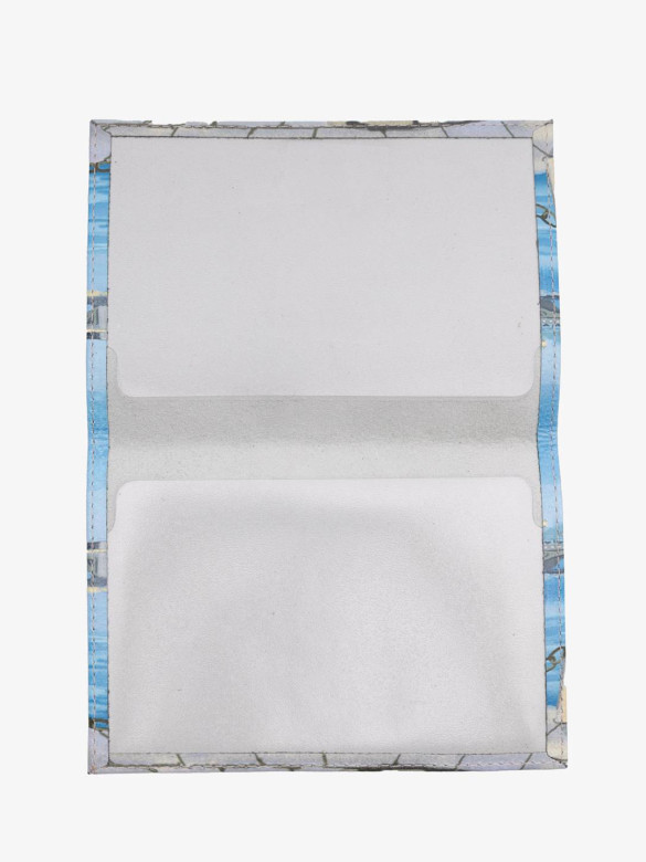 Обложка для паспорта Grand 02-006-181 коты