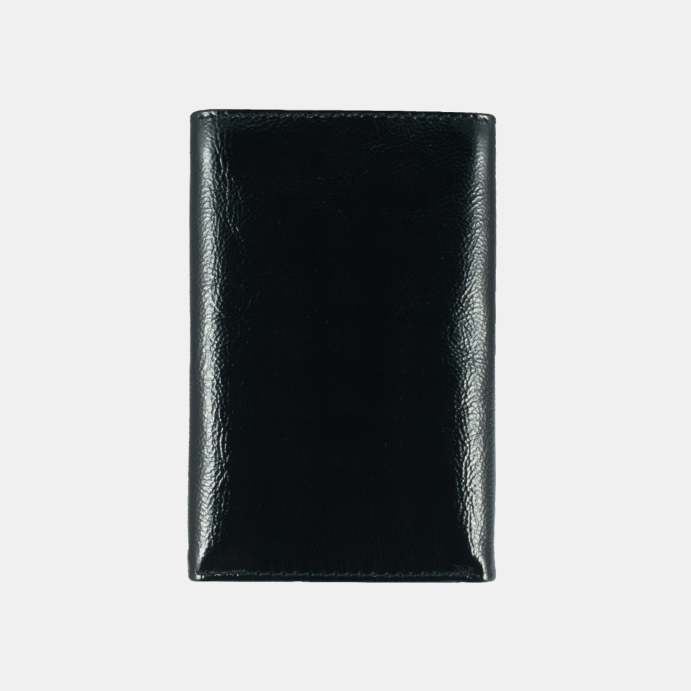 Портмоне женское ПЖ-453-2110 чёрное