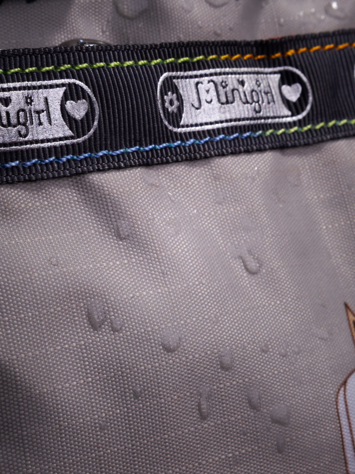 Сумка Б 0407 коты