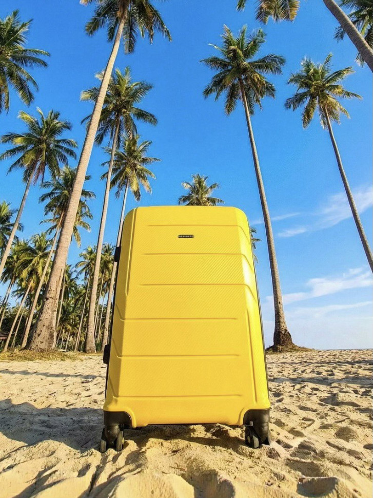 Чемодан RION+ 462  24"